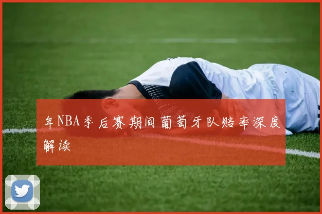 年NBA季后赛期间葡萄牙队赔率深度解读