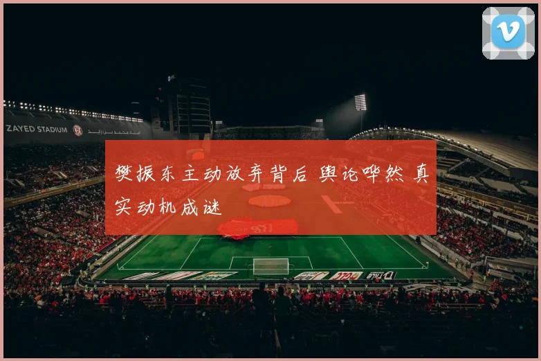 樊振东主动放弃背后 舆论哗然 真实动机成谜