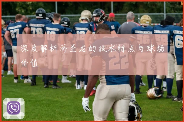 深度解析蒋圣龙的技术特点与球场价值